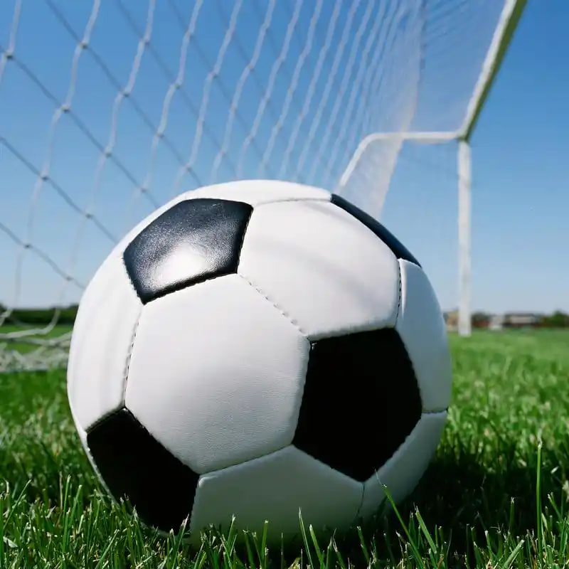 学生体育学习辅助工具