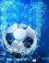 体育爱好者实时追踪赛事